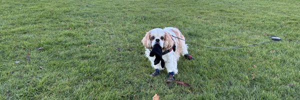 harveybones Profile Banner