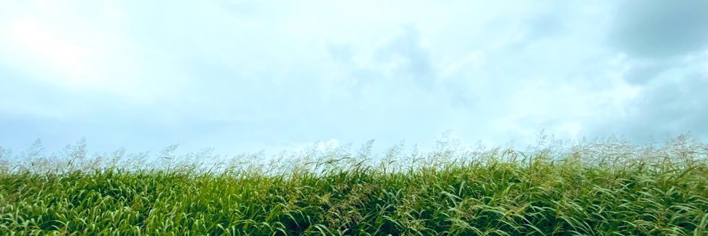 Twitter banner for @nino