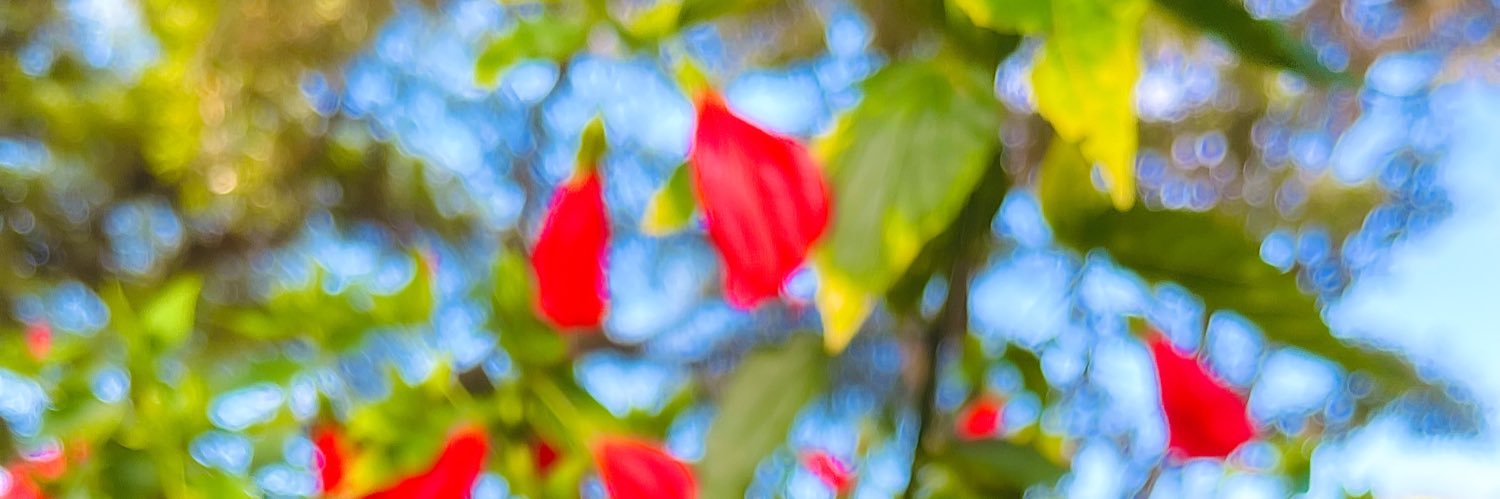 MsFifilicious's profile banner image