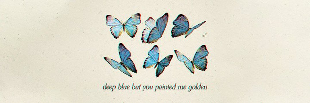 𝕭𝖊𝖆 🍋🦈 banner