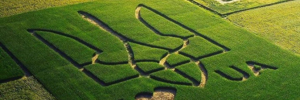 Queen Nana Fella banner