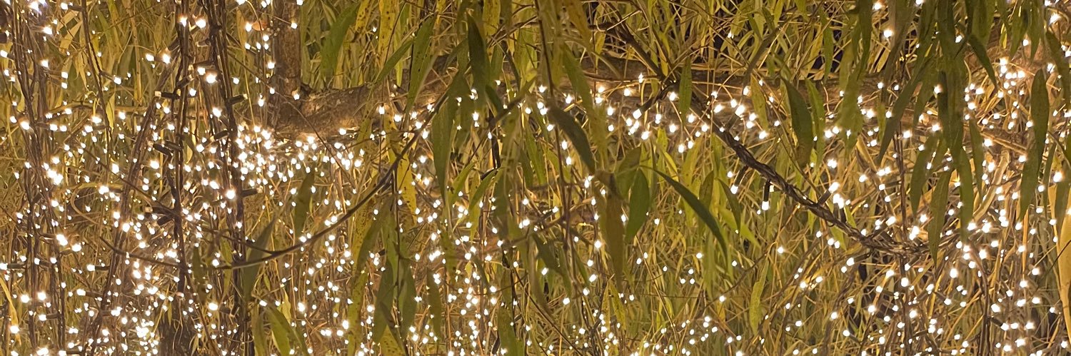 MiniyumAyum's profile banner image