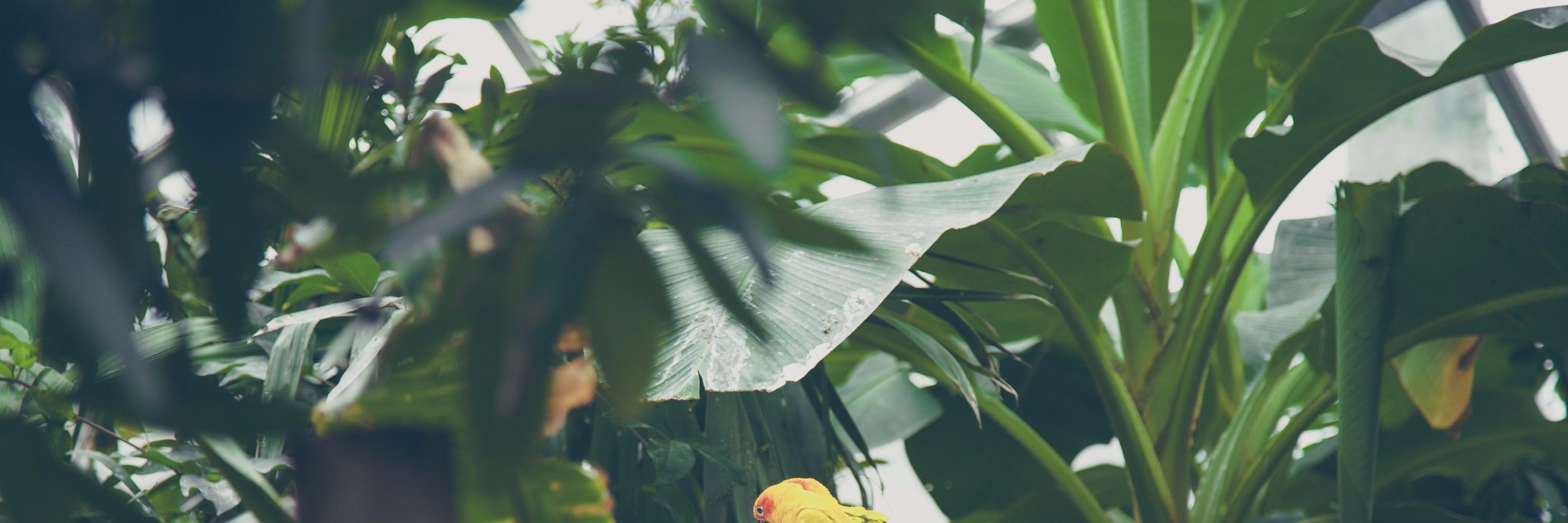 marshmeliaaa's profile banner image