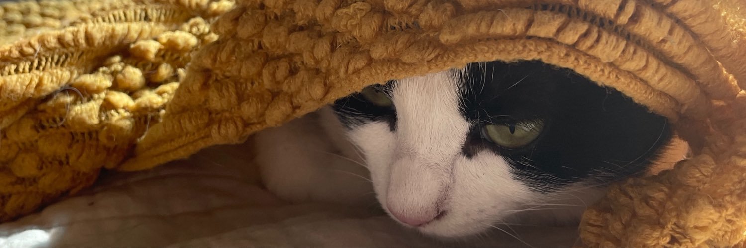 butterywoo's profile banner image