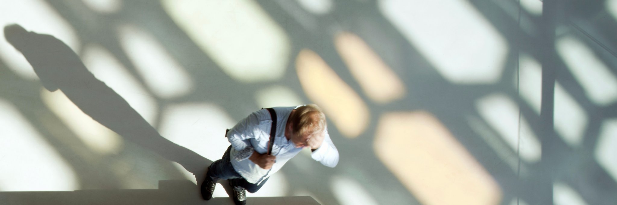 Signe Kongebro banner