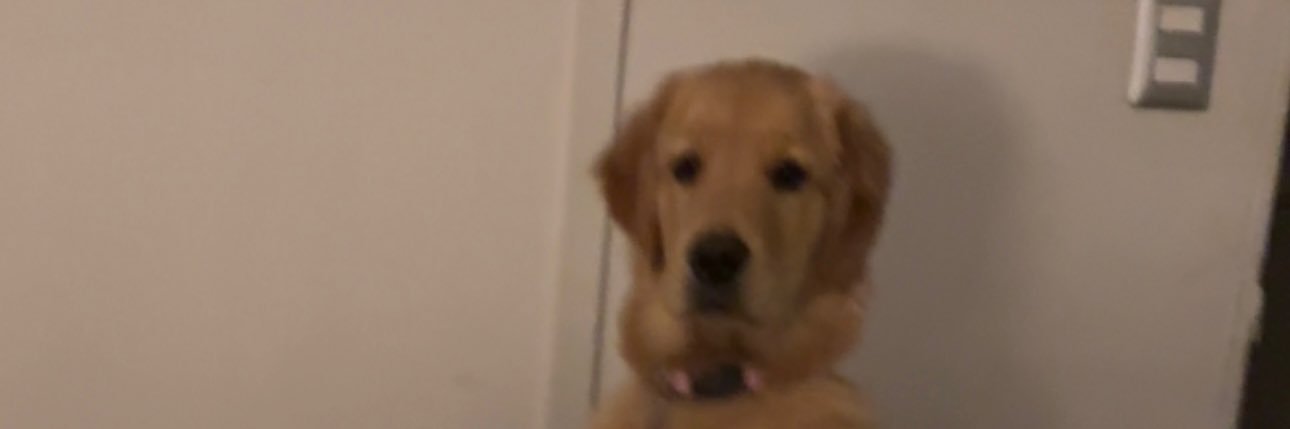 Jessica_ToGa's profile banner image