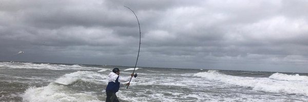 spoonbill_hank Profile Banner