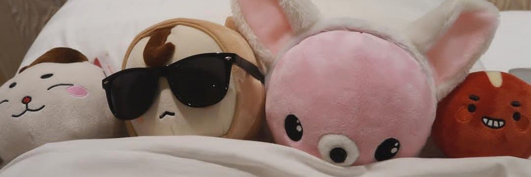 raippsy's profile banner image