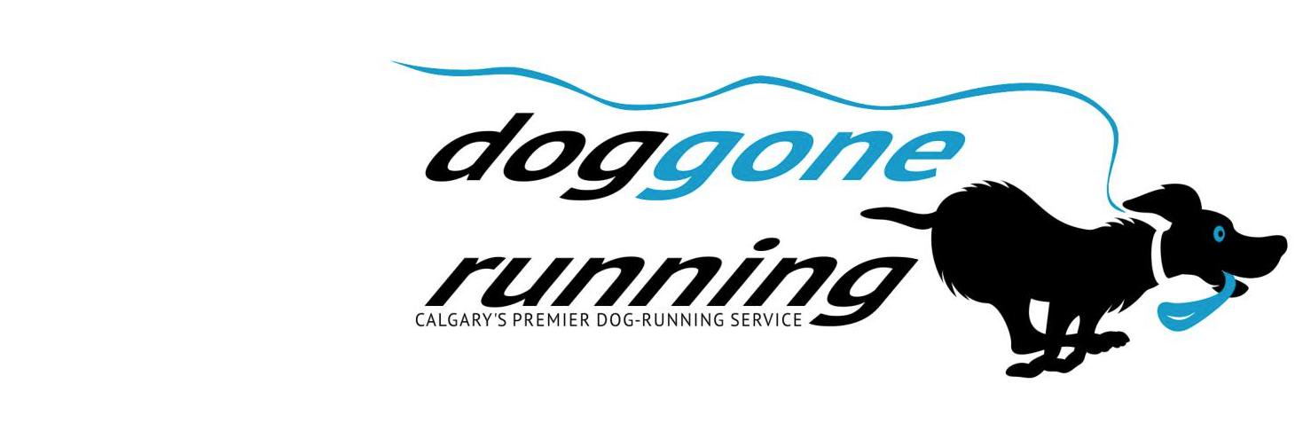 DogGoneRunning1's profile banner image