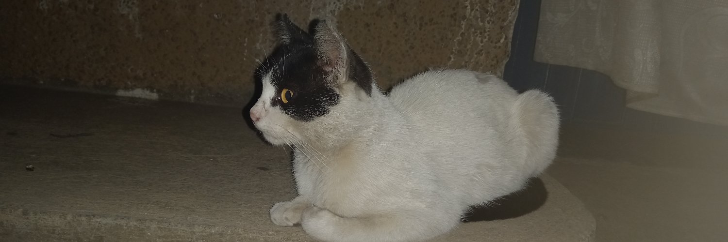 edgar_chaj's profile banner image