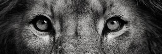 nabilahhh's profile banner image