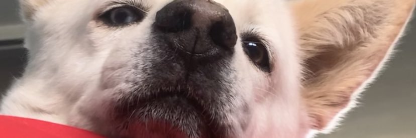 Rainef_J's profile banner image