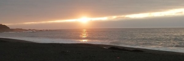 cote_hidalgom Profile Banner