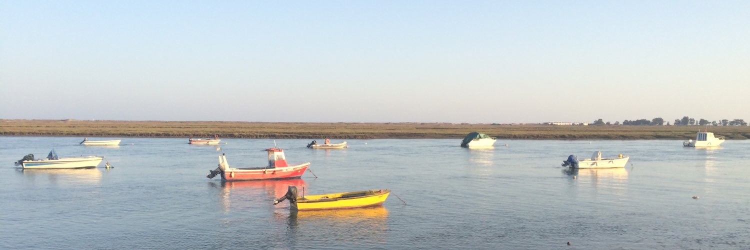 Dr Inês Bento-Coelho banner