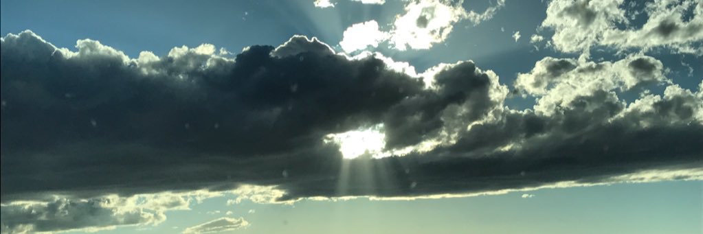 LGeishert's profile banner image