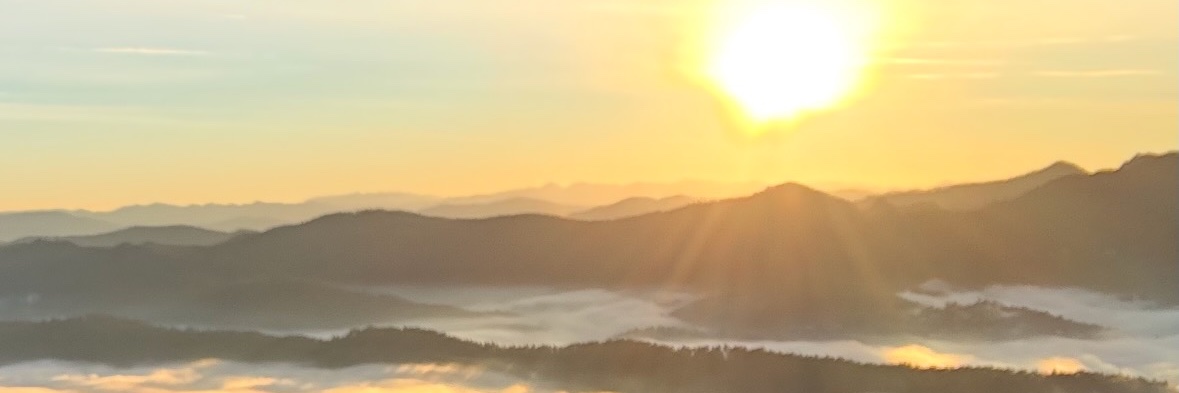 nfilde's profile banner image