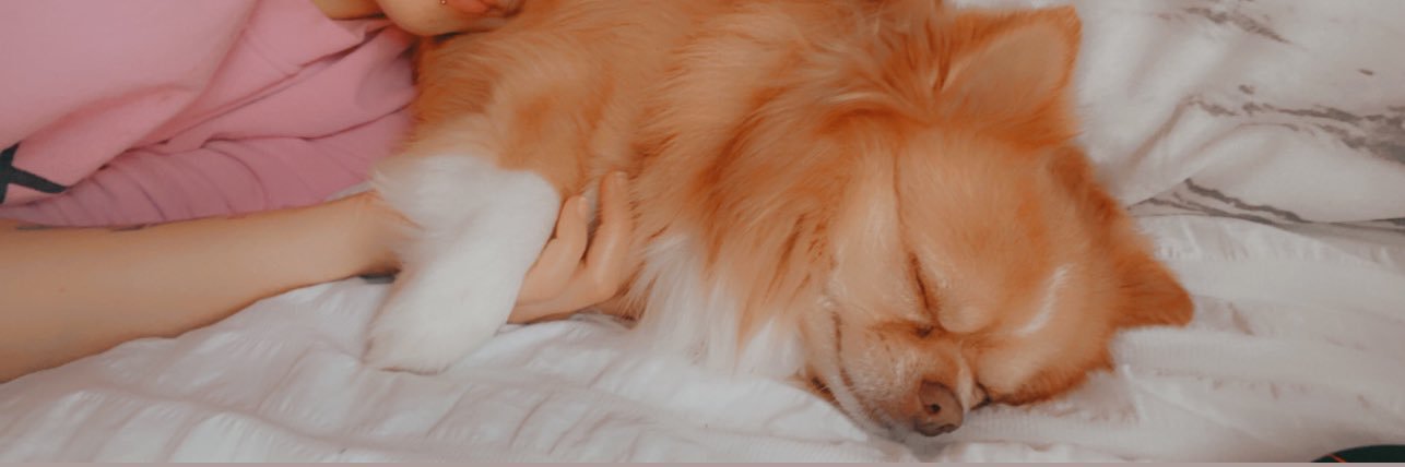 ___chloea's profile banner image