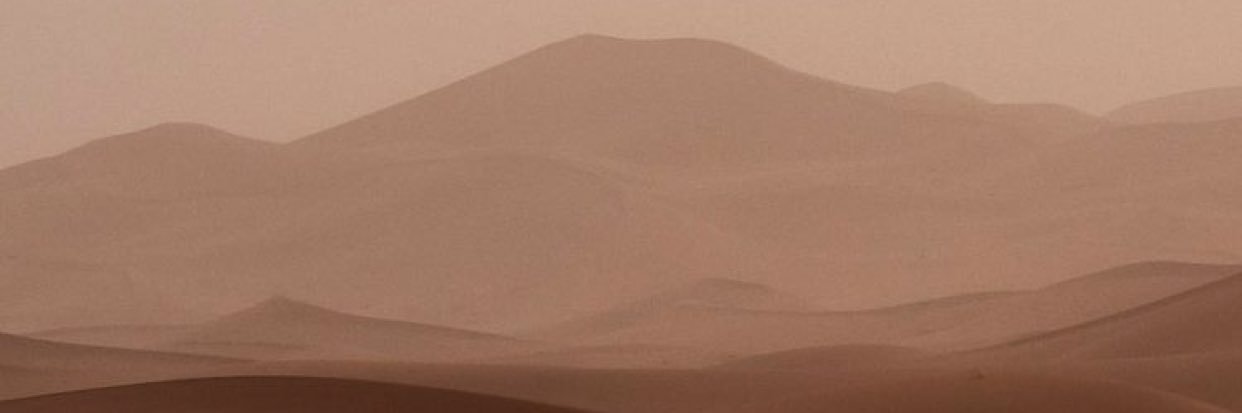 NelliShtyba's profile banner image