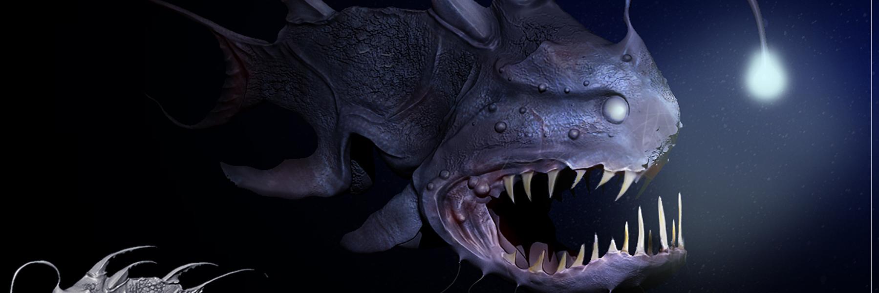 N8sartain's profile banner image