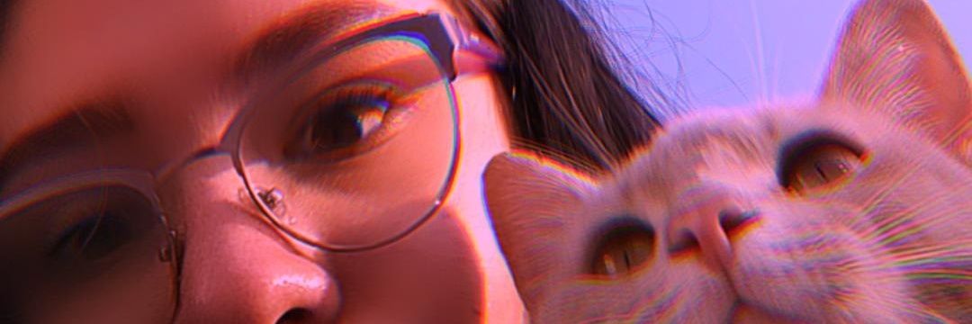 NoviadeLeviCts's profile banner image