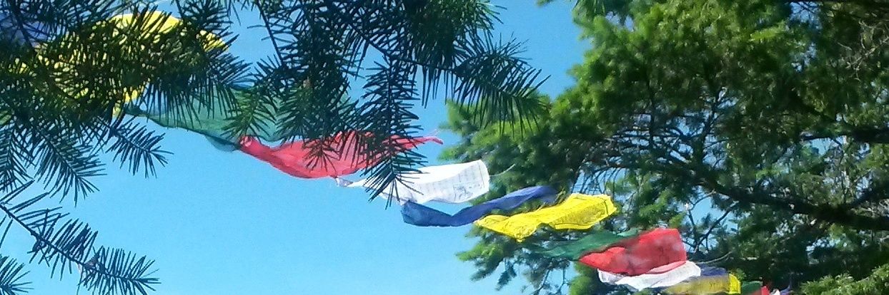bMyComrade's profile banner image