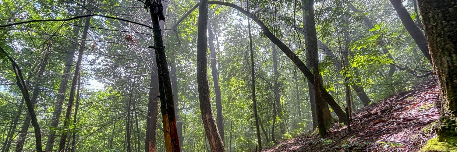 Michael Morse banner