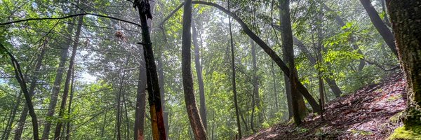 michaeljmorse Profile Banner