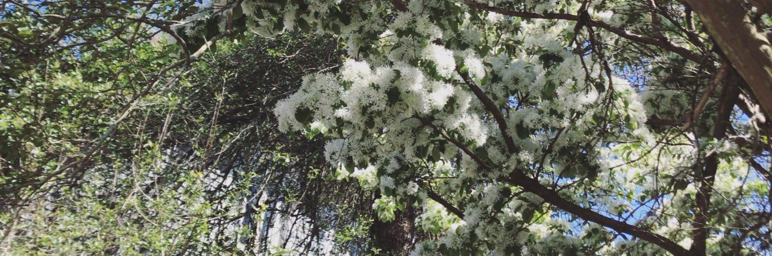 GracePhillips12's profile banner image