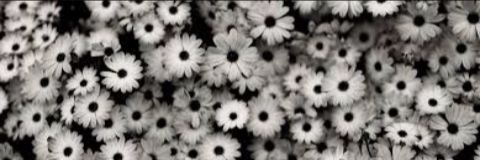 idk_1214's profile banner image