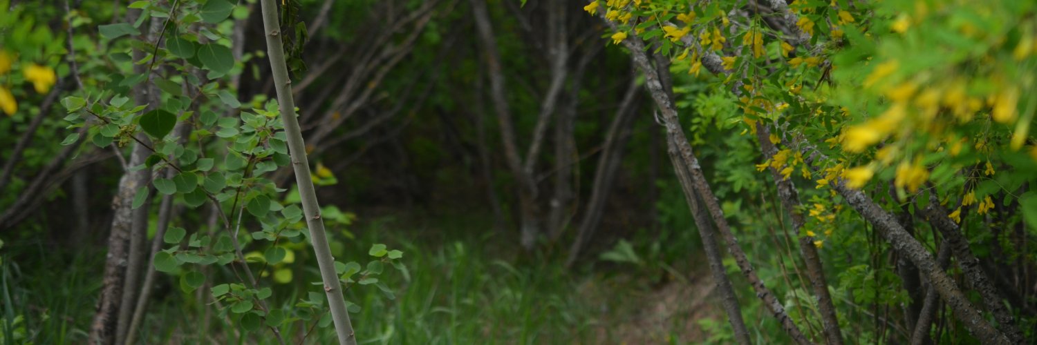 JayC411's profile banner image