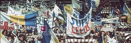 jaybee banner