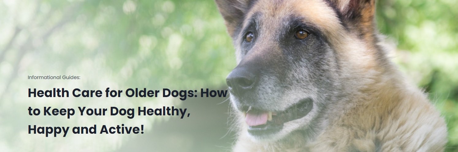 OldDogPaws's profile banner image