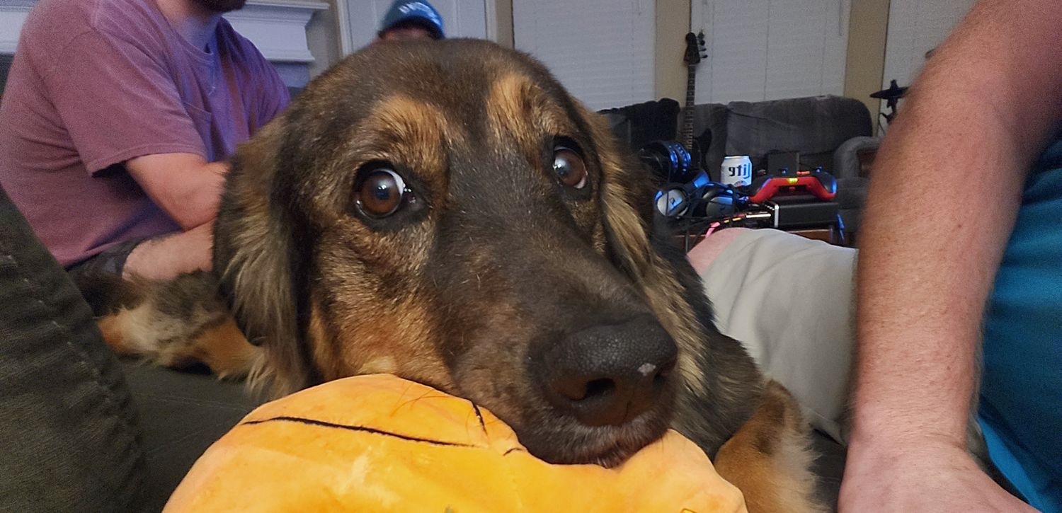 Sallyzar2's profile banner image