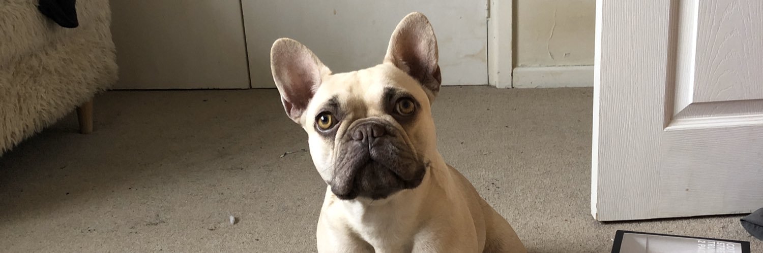 stuartfloydelli's profile banner image