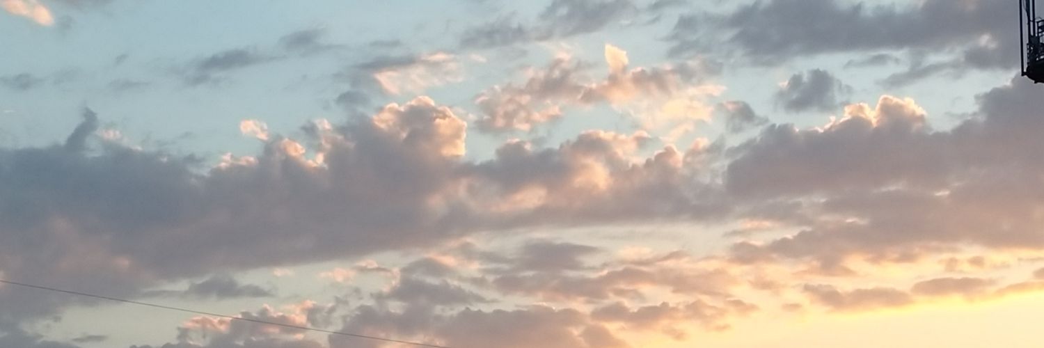 dogcookwt's profile banner image
