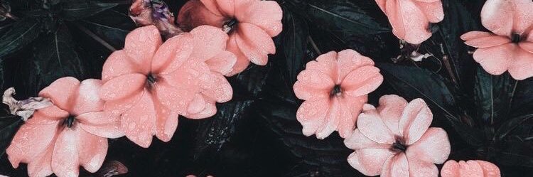 toofeem's profile banner image