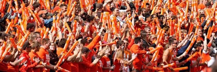 Falcon Fanatics banner