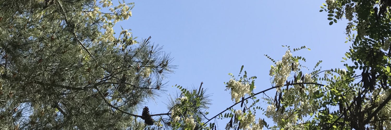 ebrudgrmnc's profile banner image