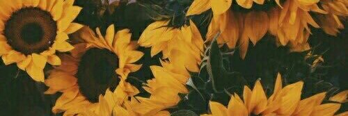 katyy_bethh's profile banner image