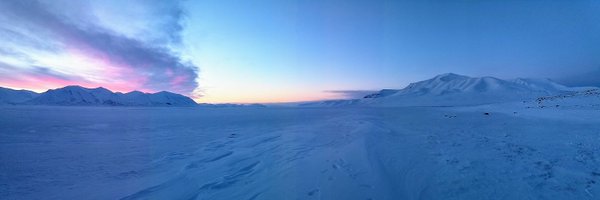 WhinnyHowe Profile Banner