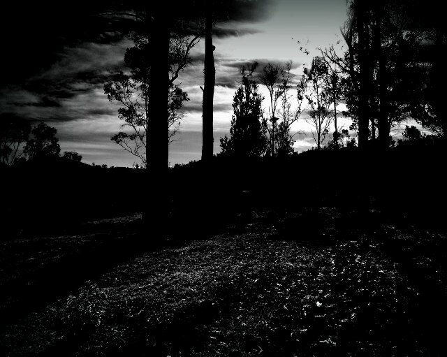 cesars89's profile banner image