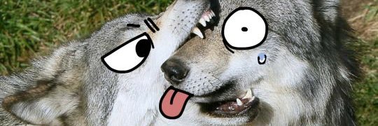 TheWaningWolf's profile banner image