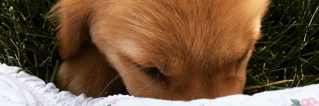ShopGirlbox237's profile banner image