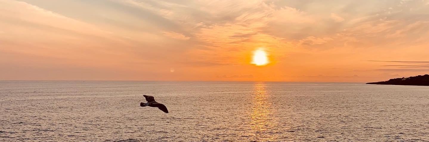 VictoriaDigon's profile banner image