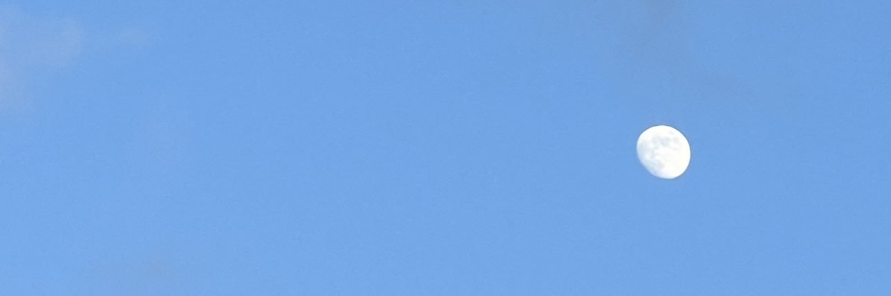 malicioustaurus's profile banner image