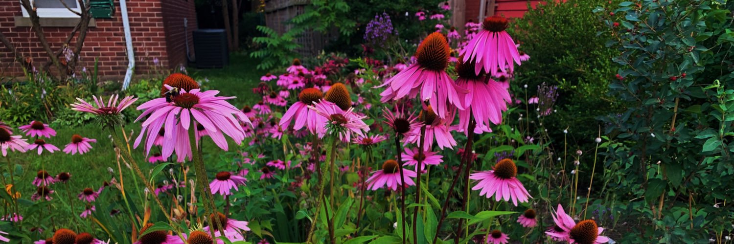 Justina WM (she/her) banner