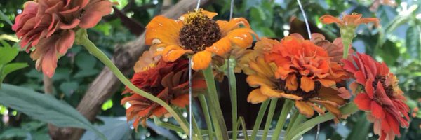 envynoel Profile Banner