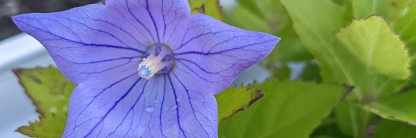 CoachJauH20 Profile Banner