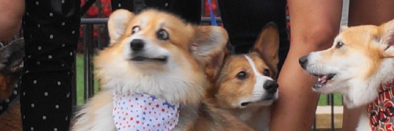 abbzmayer's profile banner image