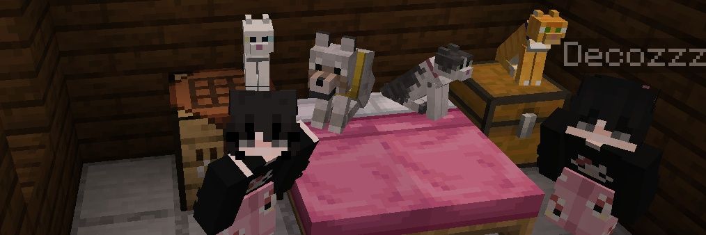 SrDec0_'s profile banner image